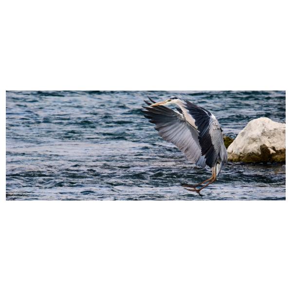 PHOTO84, CLUB, 84 , LUBERON